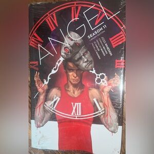 THE COMPLETE SEASON 11: ANGEL